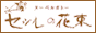 ZV̉ԑ